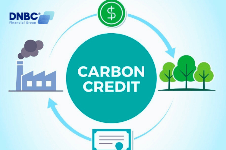Understanding Carbon Tax Credit Trading Understanding Carbon Tax Credit Trading
